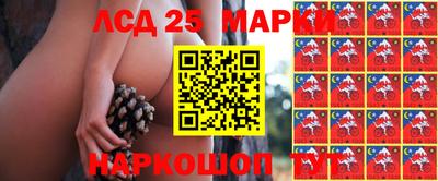 МДПВ Донской