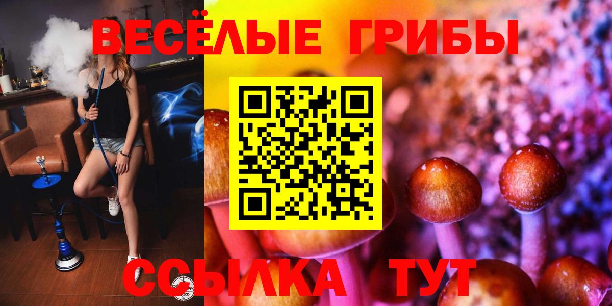 Галлюциногенные грибы Psilocybine cubensis Малоярославец